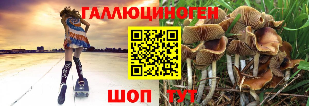 Галлюциногенные грибы Psilocybe Ярцево